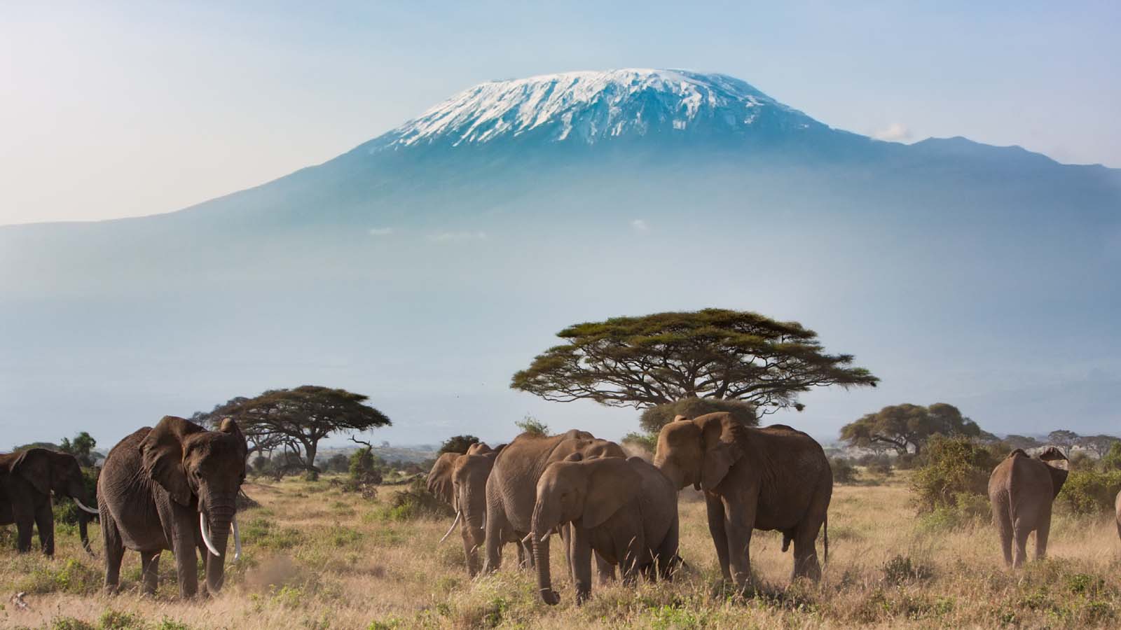 Amboseli